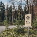 Que signifie qu'un produit est certifié FSC ? Explication détaillée