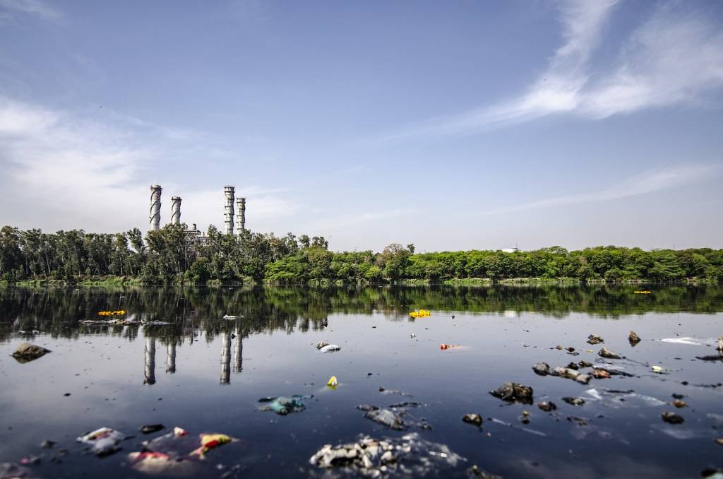 L'impact de l'environnement sur le développement des cancers